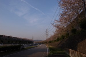 中央高速